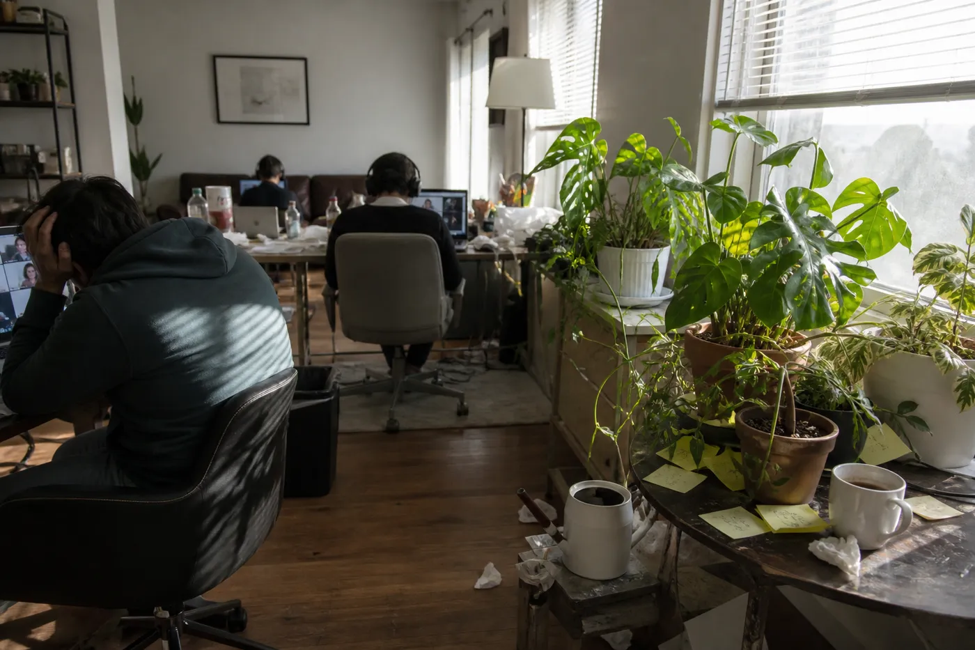 « Toi au moins tu m’écoutes » : les ficus dénoncent un télétravail émotionnel abusif